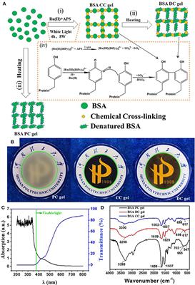 High-Strength Albumin Hydrogels With Hybrid Cross-Linking